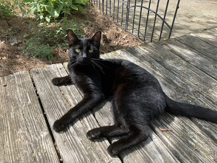 Sylacauga Veterinary Hospital Picture 6