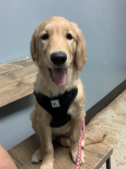 Sylacauga Veterinary Hospital Picture 8