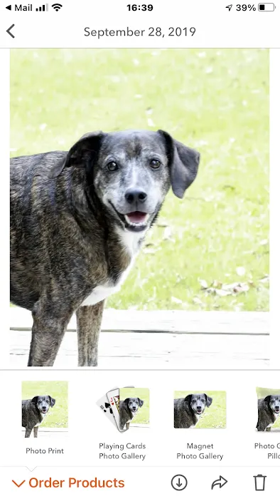 Sylacauga Veterinary Hospital Picture 10