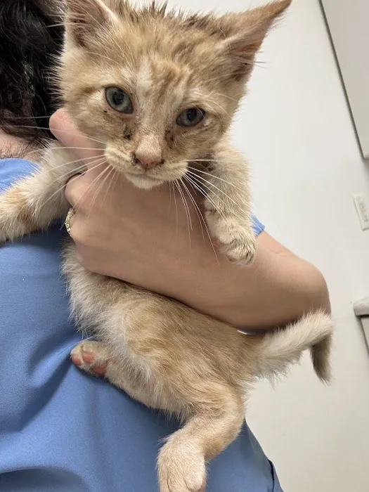 Baxley Animal Hospital Picture 2