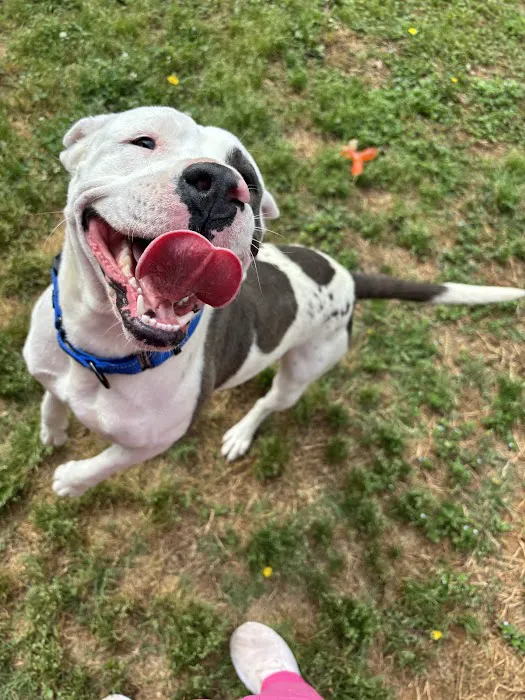 Baxley Animal Hospital Picture 3