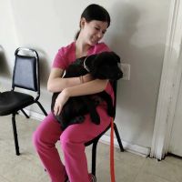 Baxley Animal Hospital ico