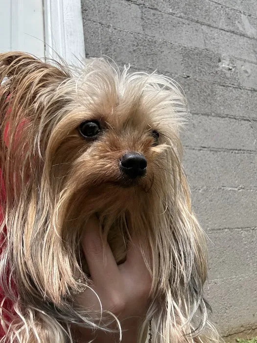 Baxley Animal Hospital Picture 7