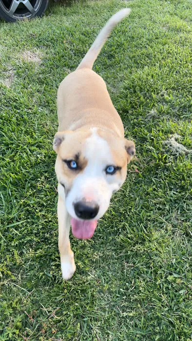 Baxley Animal Hospital Picture 5