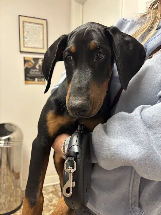 Baxley Animal Hospital Picture 4