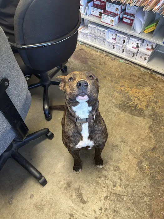 Baxley Animal Hospital Picture 9