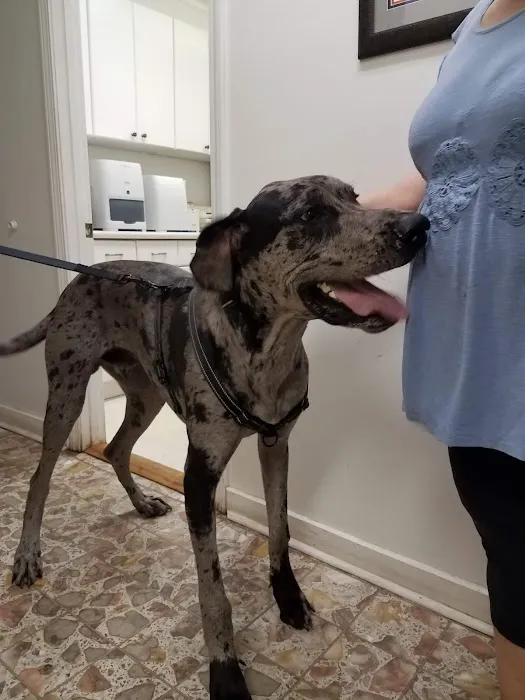 Baxley Animal Hospital Picture 10