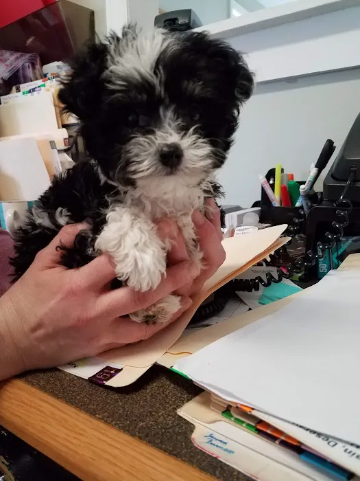 Baxley Animal Hospital Picture 8