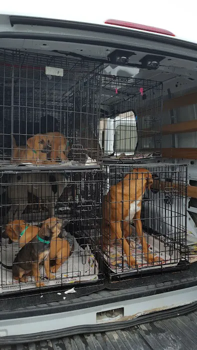 280 Animal Medical Center: Jay Crisman DVM Picture 4