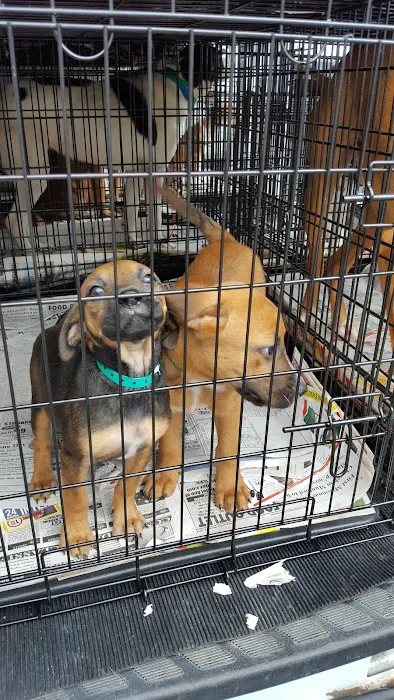 280 Animal Medical Center: Jay Crisman DVM Picture 1