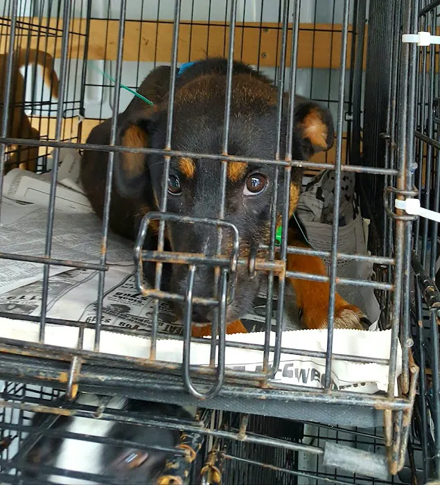 280 Animal Medical Center: Jay Crisman DVM Picture 3