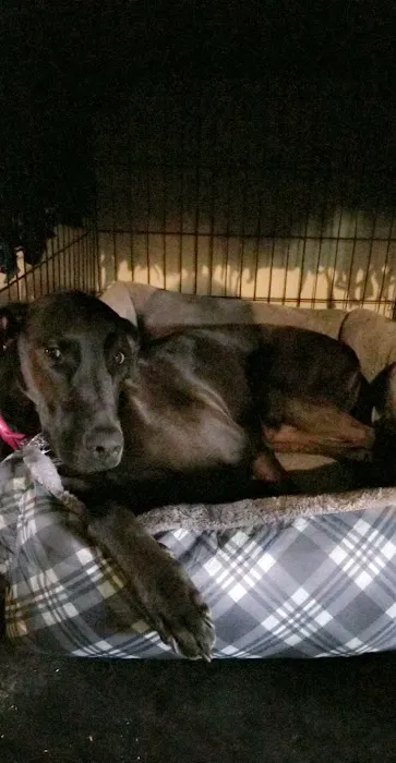 280 Animal Medical Center: Jay Crisman DVM Picture 5