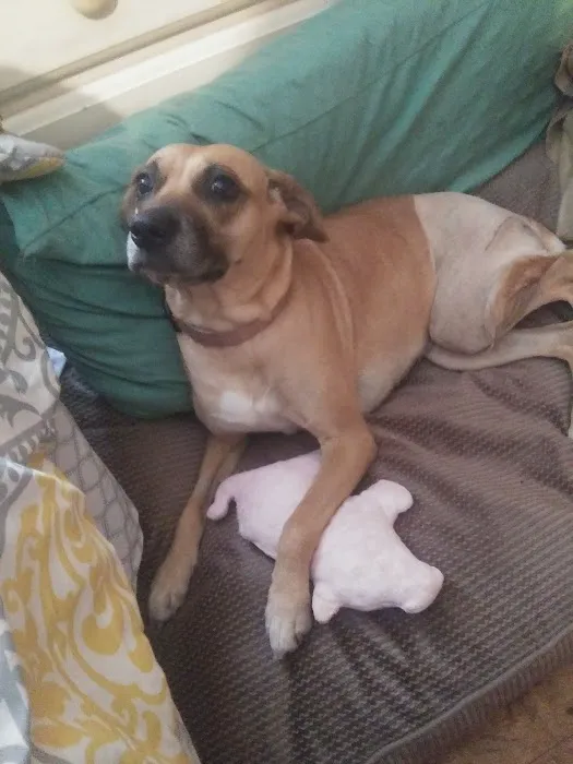 280 Animal Medical Center: Jay Crisman DVM Picture 8