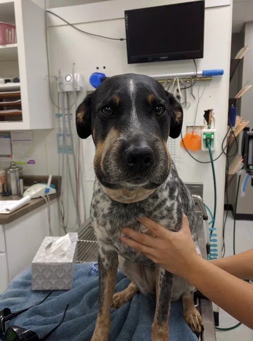 280 Animal Medical Center: Jay Crisman DVM Picture 9