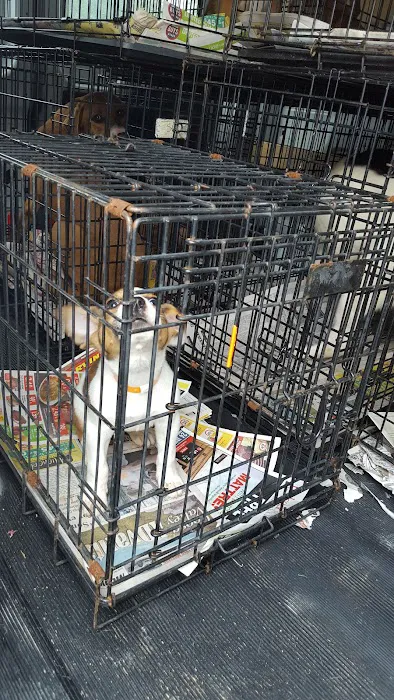 280 Animal Medical Center: Jay Crisman DVM Picture 6