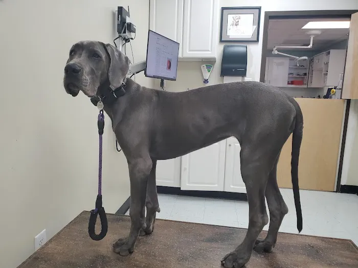 280 Animal Medical Center: Jay Crisman DVM Picture 10