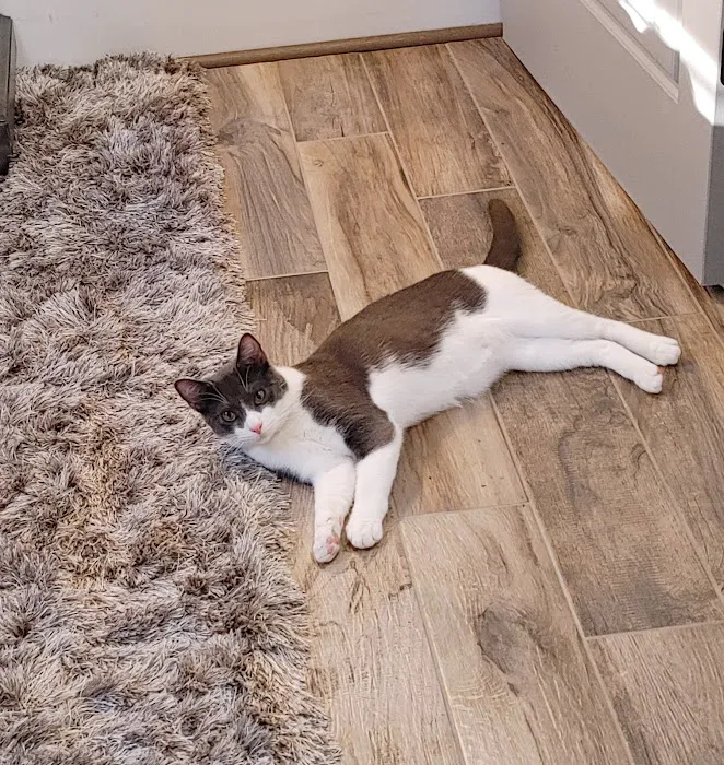 280 Animal Medical Center Picture 3