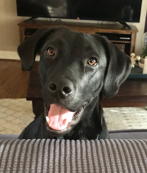 280 Animal Medical Center Picture 1