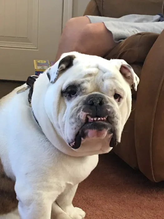 280 Animal Medical Center Picture 4