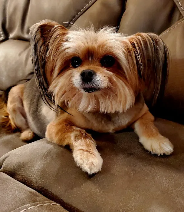 280 Animal Medical Center Picture 5