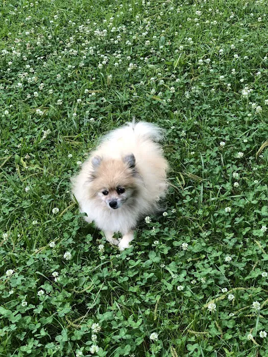 280 Animal Medical Center Picture 6