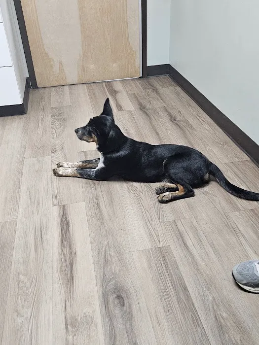 280 Animal Medical Center Picture 7