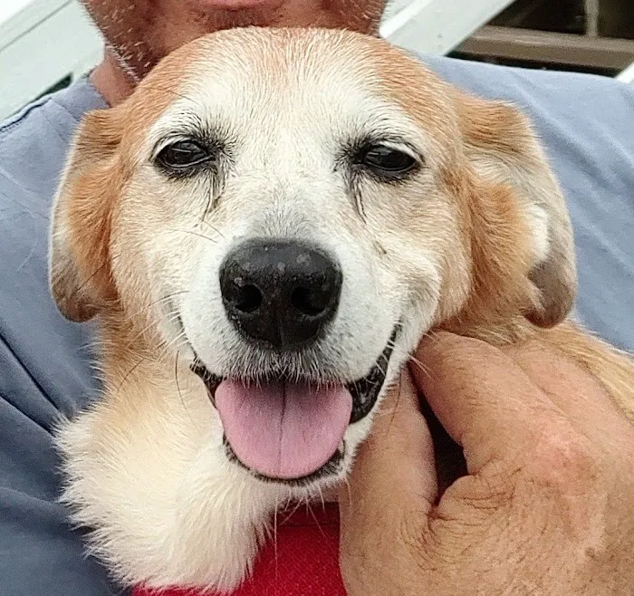 280 Animal Medical Center Picture 8