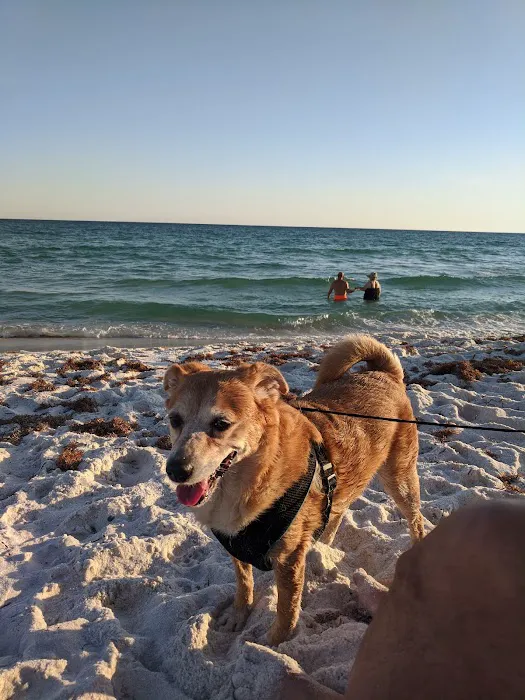 280 Animal Medical Center Picture 9