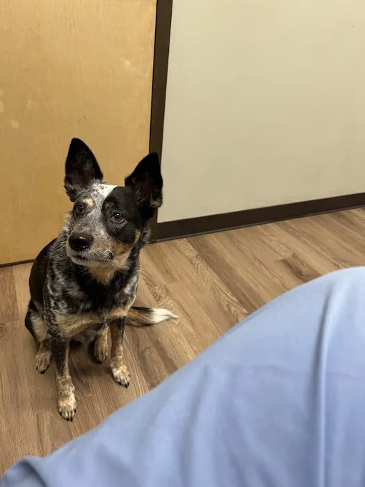 280 Animal Medical Center Picture 10