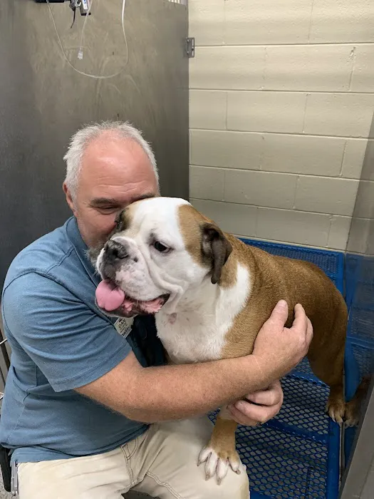 Shelbiana Animal Clinic Picture 4