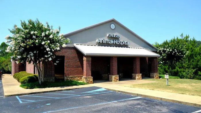 Chelsea Animal Hospital Picture 3