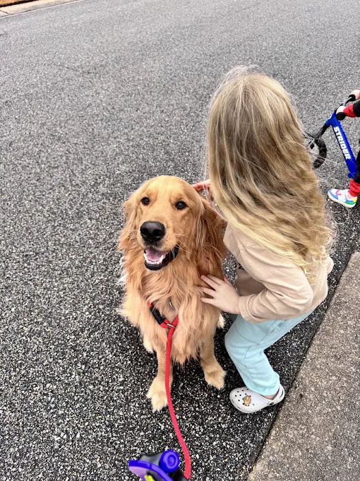 Chelsea Animal Hospital Picture 9