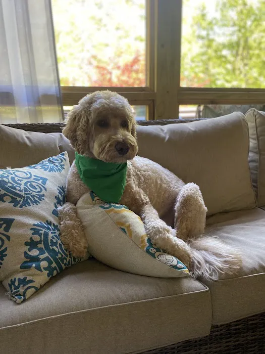 Constant Companion Animal Hospital Picture 1