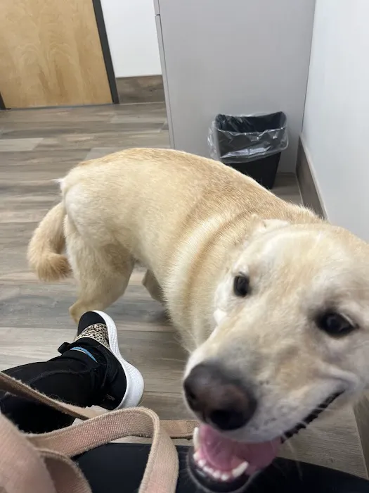 Constant Companion Animal Hospital Picture 8