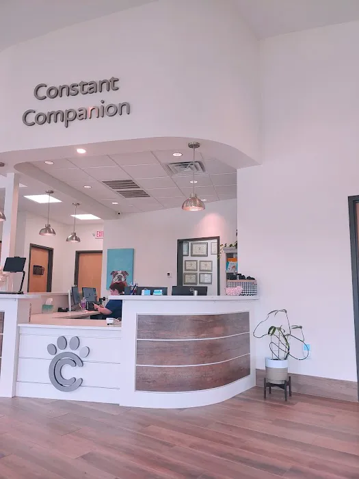 Constant Companion Animal Hospital Picture 6