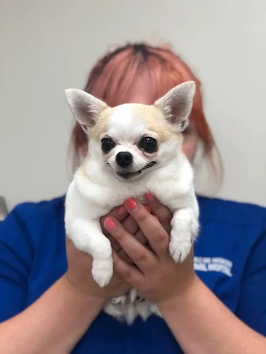 Double Oak Mountain Animal Hospital Picture 5