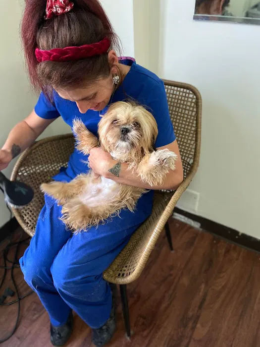 Double Oak Mountain Animal Hospital Picture 4