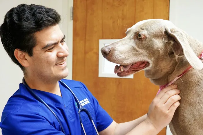 Double Oak Mountain Animal Hospital Picture 6