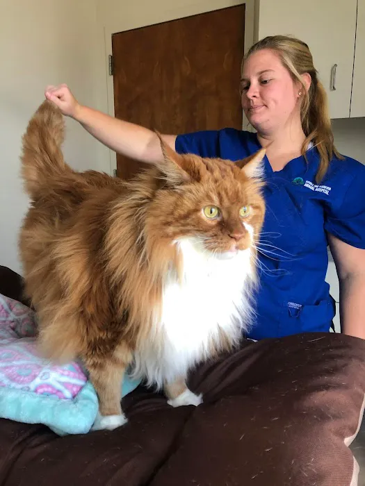 Double Oak Mountain Animal Hospital Picture 3