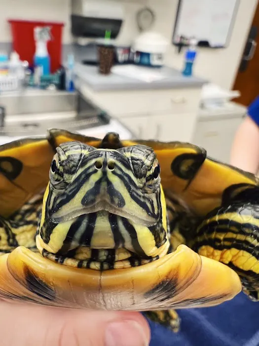 Double Oak Mountain Animal Hospital Picture 7