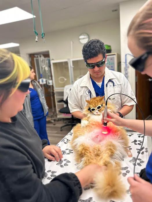 Double Oak Mountain Animal Hospital Picture 8