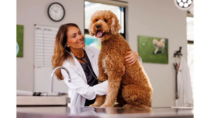 NewDay Veterinary Care Picture 3