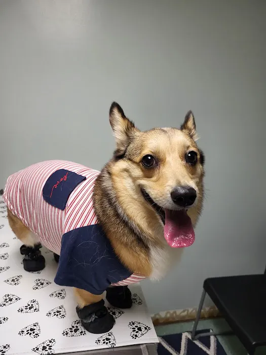 Cahaba Valley Animal Clinic Picture 2