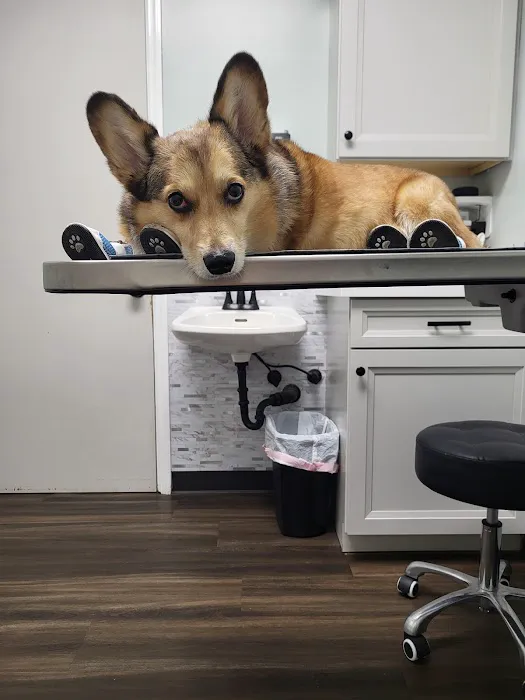 Cahaba Valley Animal Clinic Picture 3