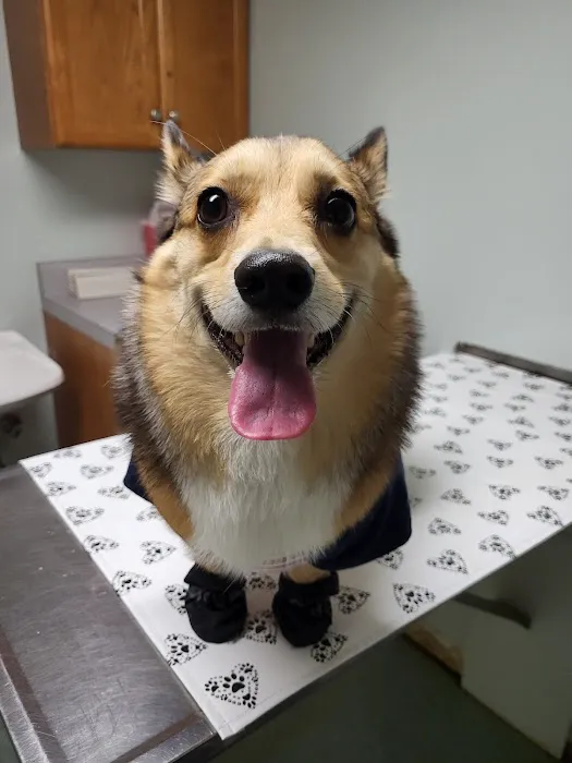 Cahaba Valley Animal Clinic Picture 1