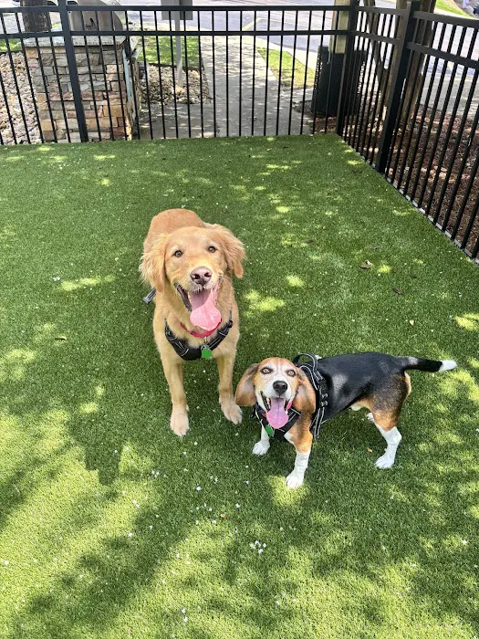 Cahaba Valley Animal Clinic Picture 5