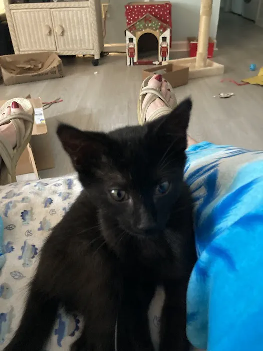 Cahaba Valley Animal Clinic Picture 8