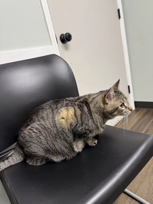 Cahaba Valley Animal Clinic Picture 10