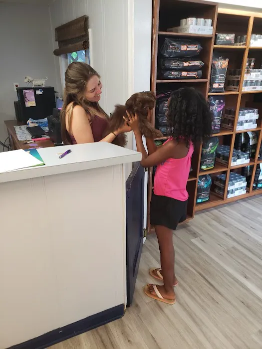 Meadow Brook Animal Clinic Picture 1