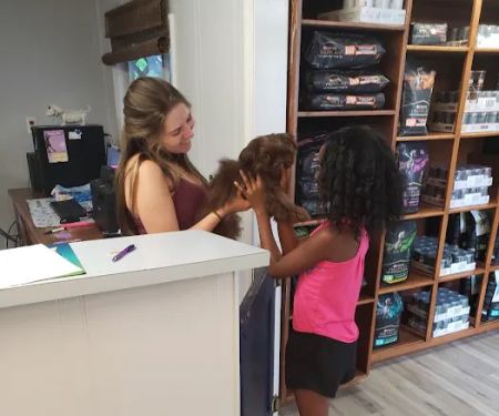 Meadow Brook Animal Clinic